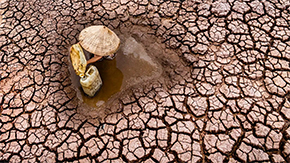 A photograph of a person in a straw hat working to collect water from the dry and parched soil as the sun's rays shine down.