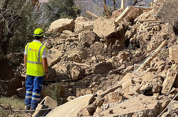 Project HOPE local partners search through the rubble with trained dogs after a destructive earthquake in Morocco.