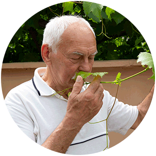 Round photo of a Ukrainian refugee named Viktor as he holds up the vine of a plant to smell it in the community center garden. His eyes are closed peacefully, and he wears a polo shirt against the background of a wall and plants